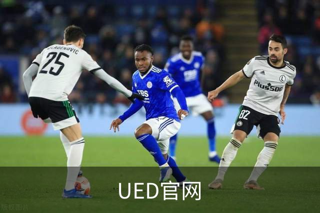UED官网公司简介图片